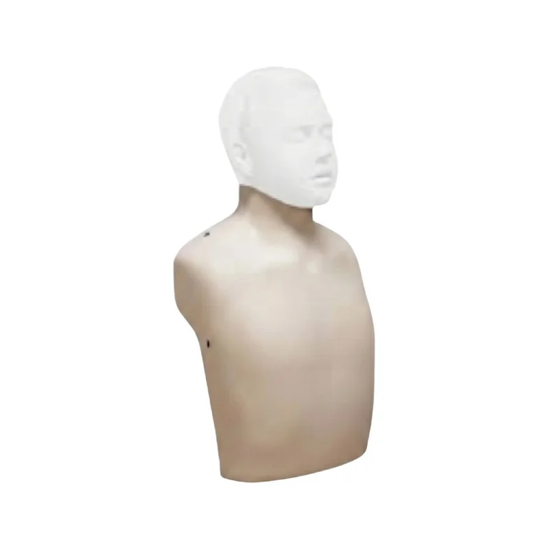 10014-cover-image-peau-de-torse-mannequin-brayden-262109