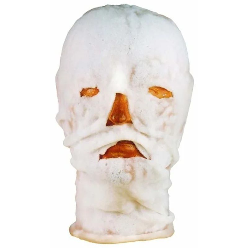 23983-image-1-masque-facial-burnshield-262212
