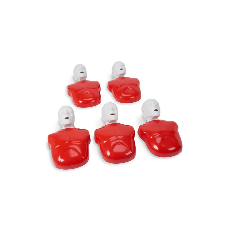5-mannequins-torse-ambu-basic-buddy-adulte