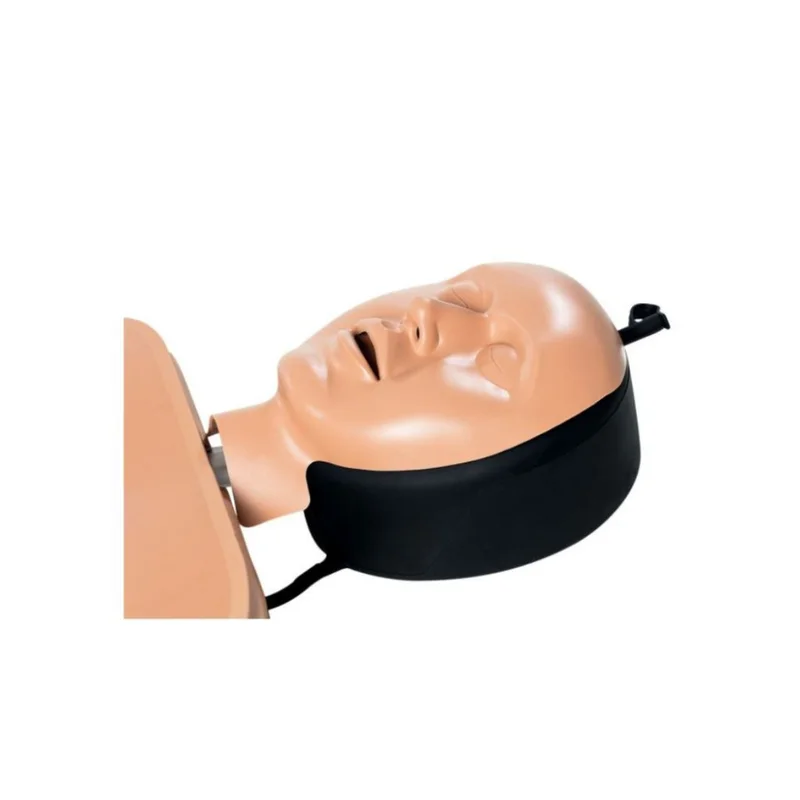 6704-cover-image-peaux-visage-mannequin-ambuman-school-235090