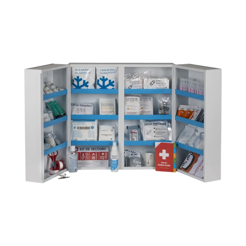8973-cover-image-armoire-a-pharmacie-erp-categorie-1-241069