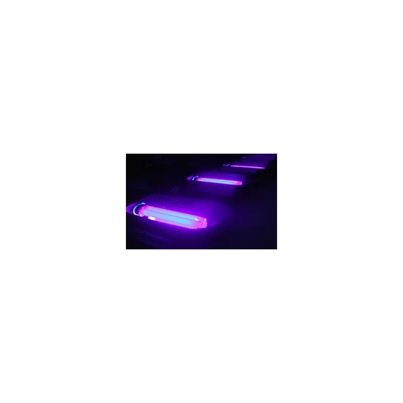 consomed-1711690