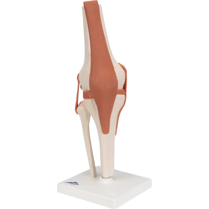 hexamed-1740270