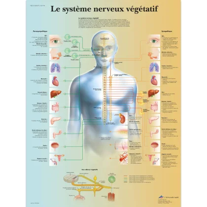 hexamed-1758159