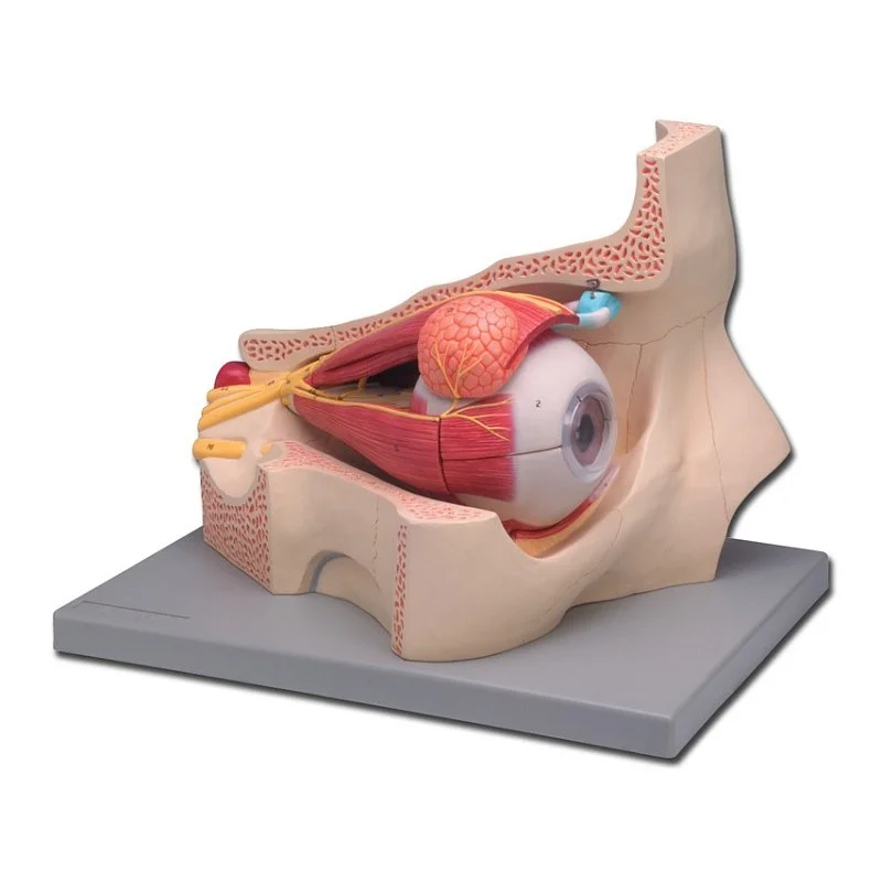 medicalistore-fr-1755211