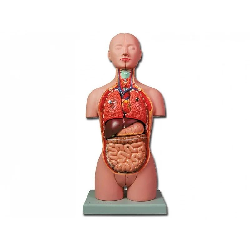 medicalistore-fr-1758137