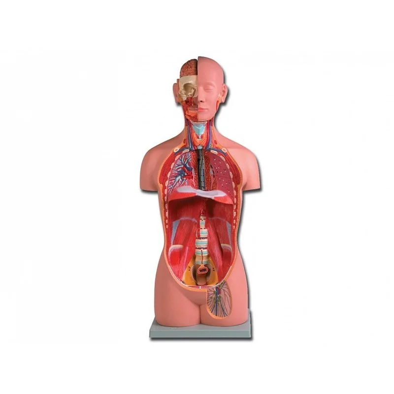 medicalistore-fr-1758140