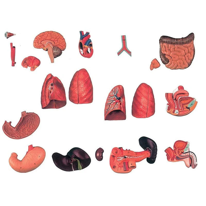 medicalistore-fr-1758143