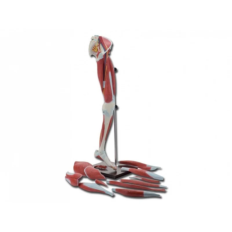 medicalistore-fr-1758147