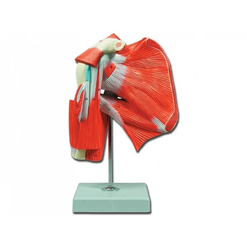 medicalistore-fr-1758148