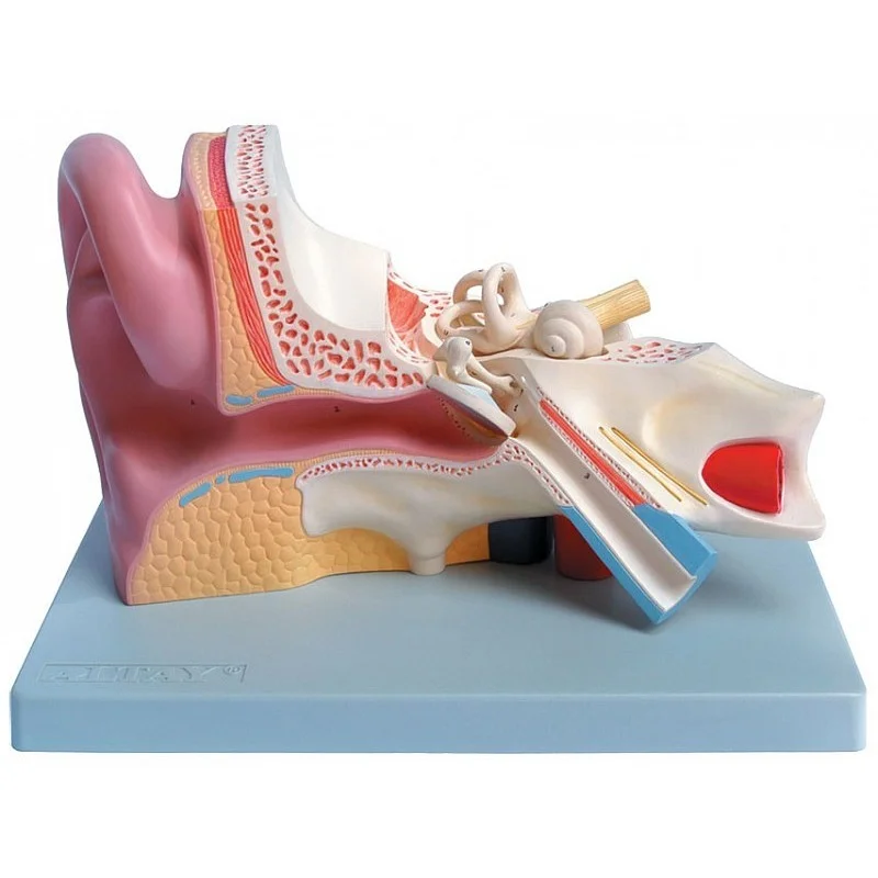 medicalistore-fr-1758155