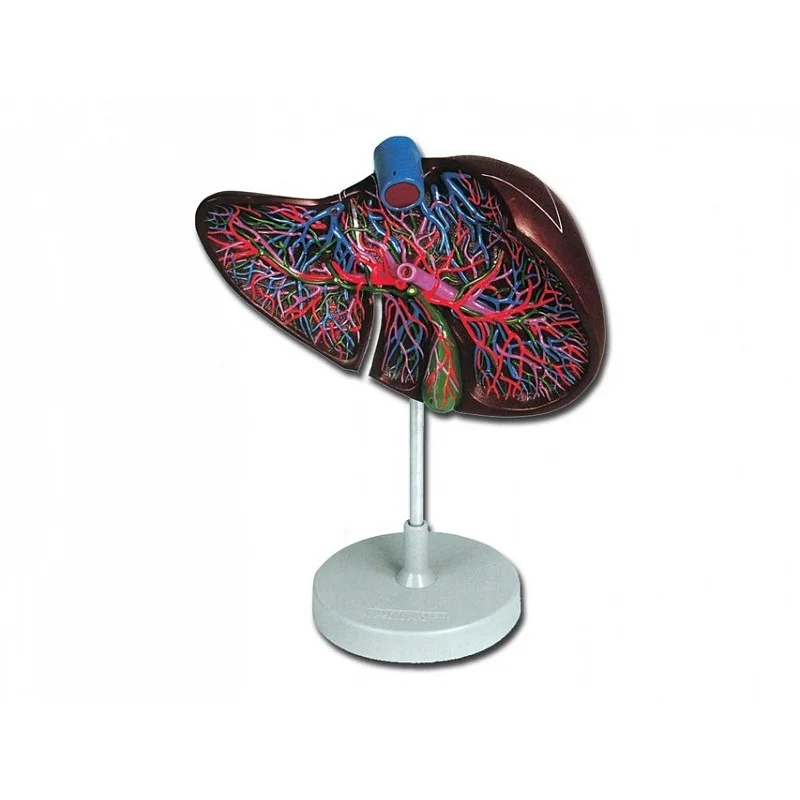 medicalistore-fr-1758163