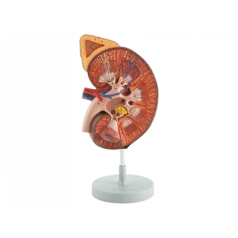 medicalistore-fr-1758169