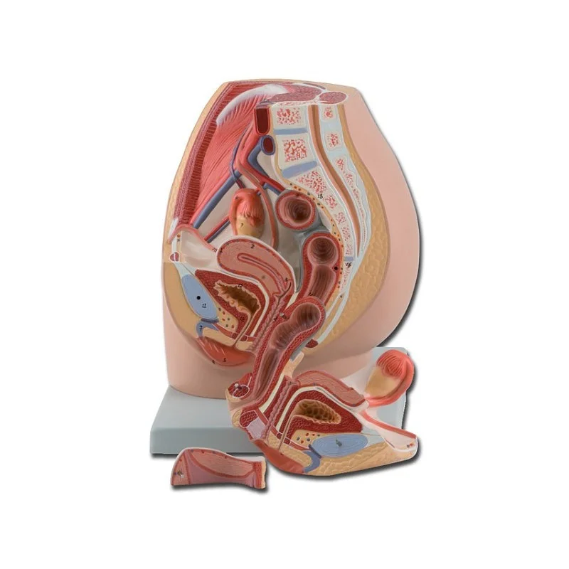 medicalistore-fr-1758170