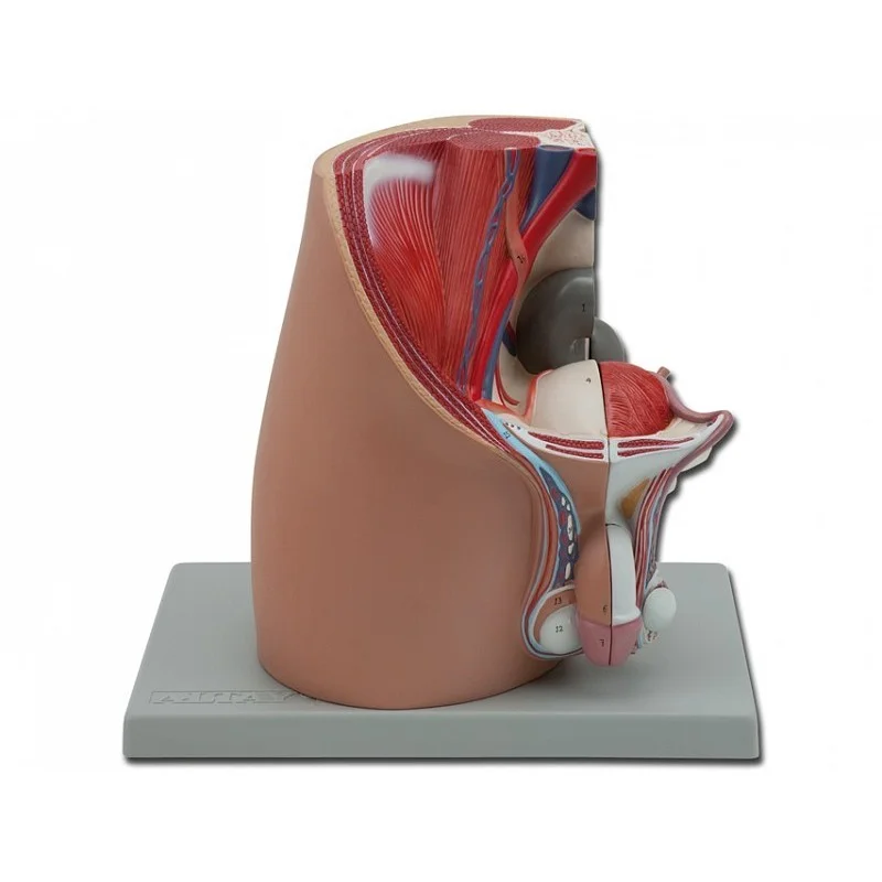 medicalistore-fr-1758172