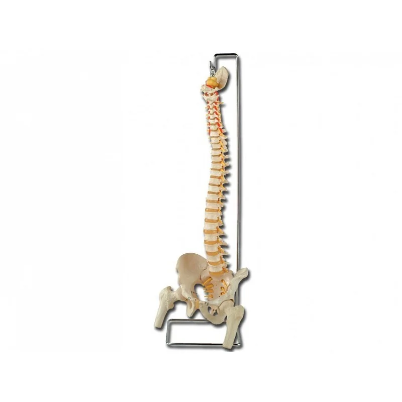 medicalistore-fr-1758181
