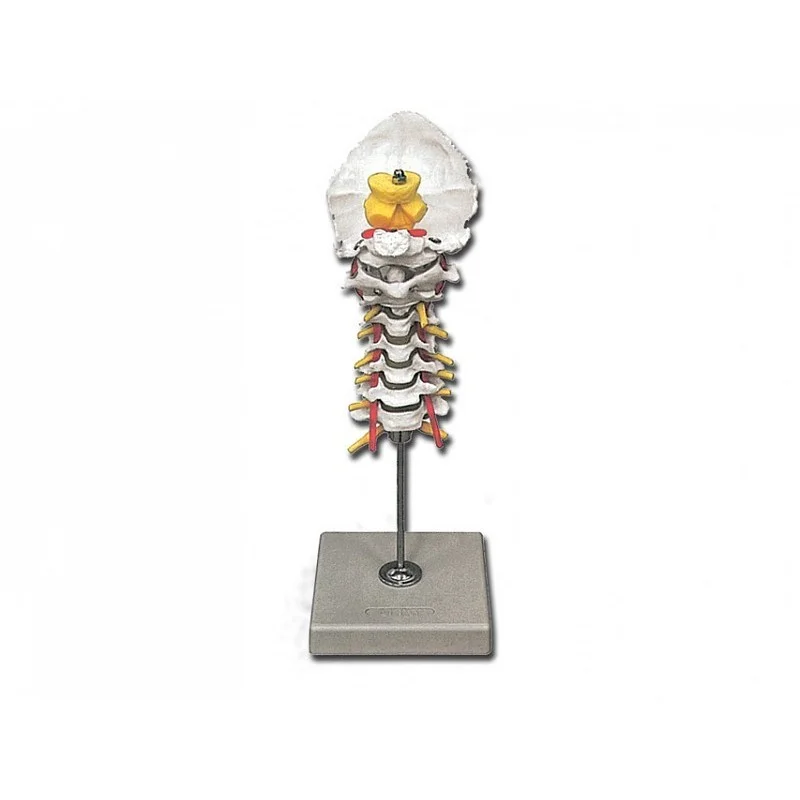 medicalistore-fr-1758187