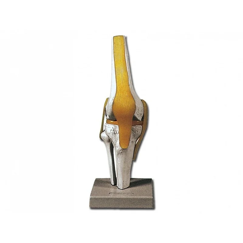 medicalistore-fr-1758198
