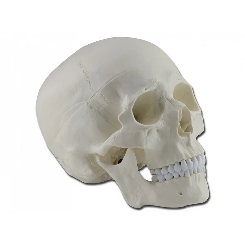 medicalistore-fr-1758206