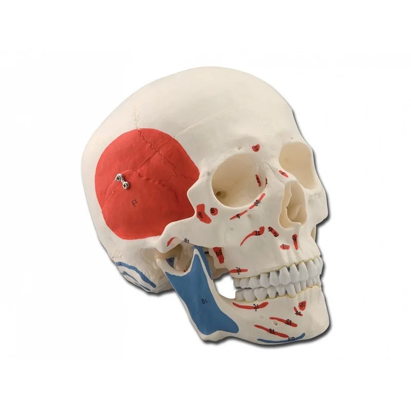 medicalistore-fr-1758211