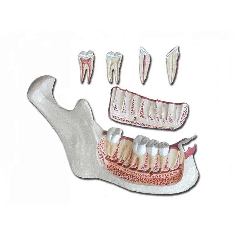 medicalistore-fr-1758220