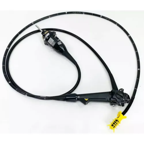 remma-1726448