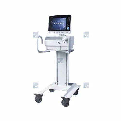 remma-1727448