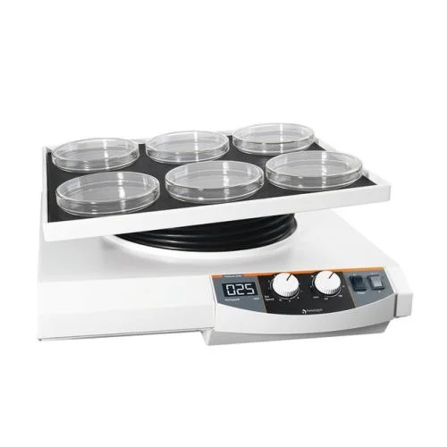 remma-1731563