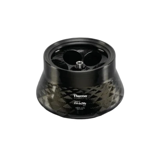 remma-1732055