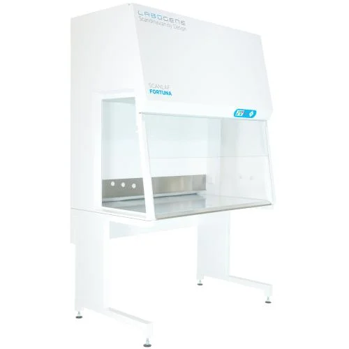 remma-1732589