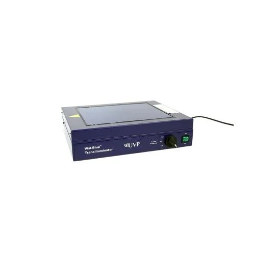 remma-1734034
