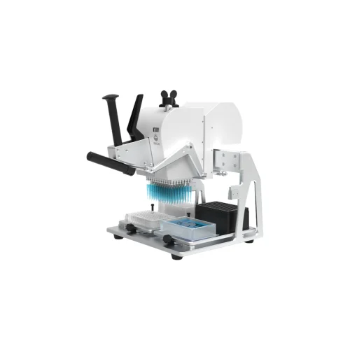 remma-1735451