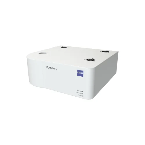 remma-1735704