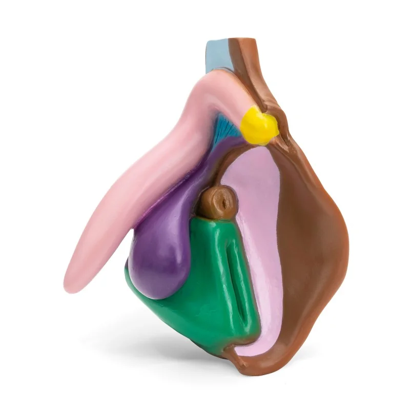shop.bivea-medical-1706536