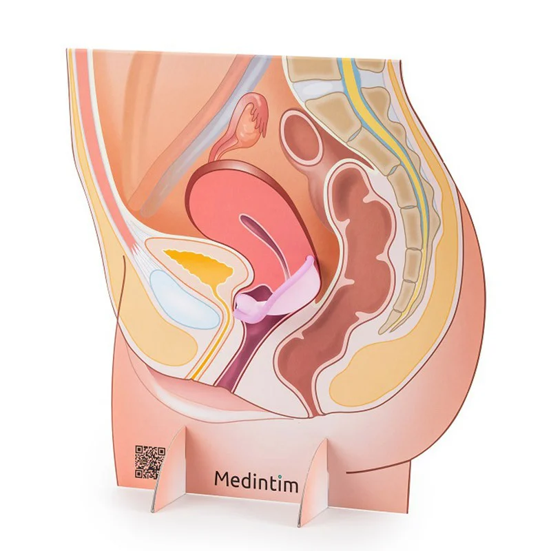 shop.bivea-medical-1706913