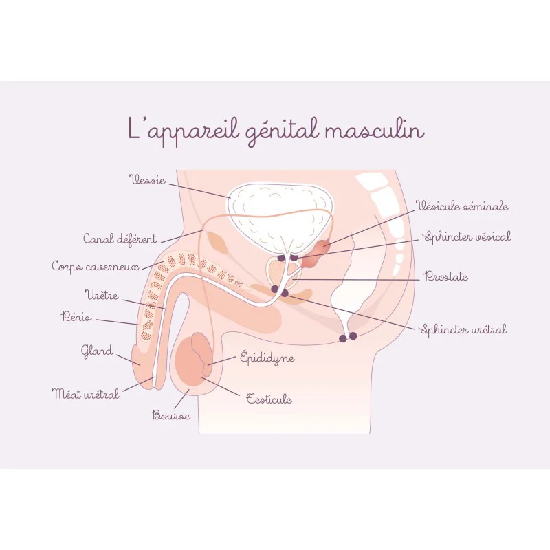 shop.bivea-medical-1707328