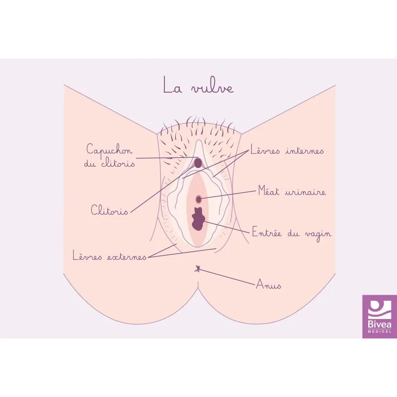 shop.bivea-medical-1707348