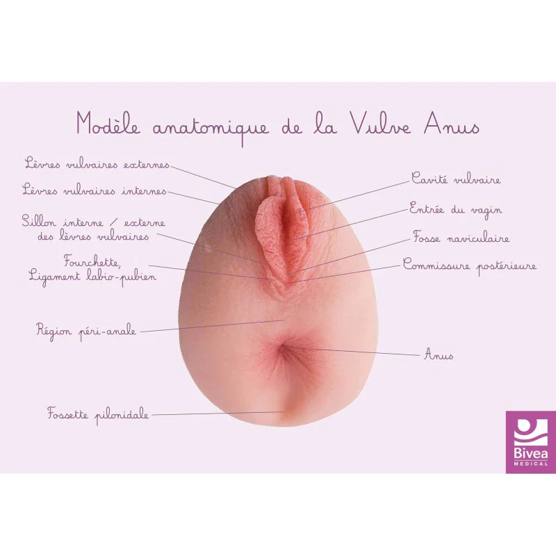 shop.bivea-medical-1707911