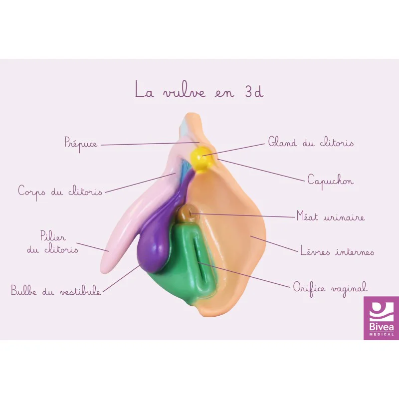 shop.bivea-medical-1707984
