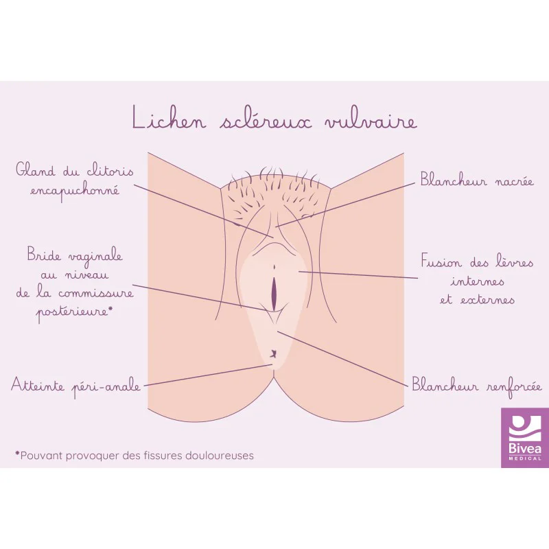 shop.bivea-medical-1708762