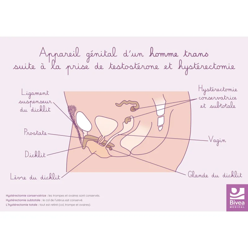 shop.bivea-medical-1709009