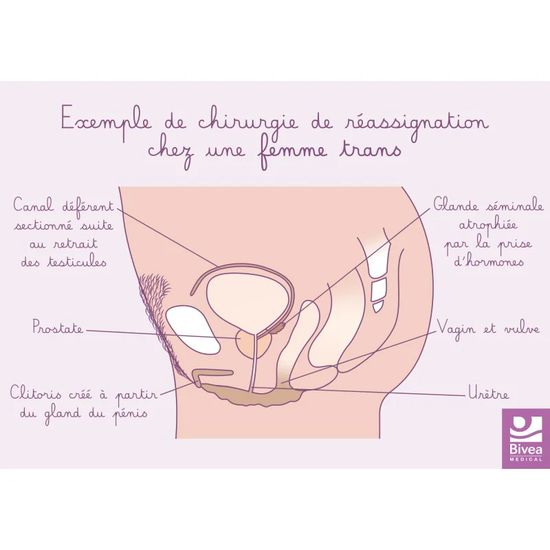 shop.bivea-medical-1709073