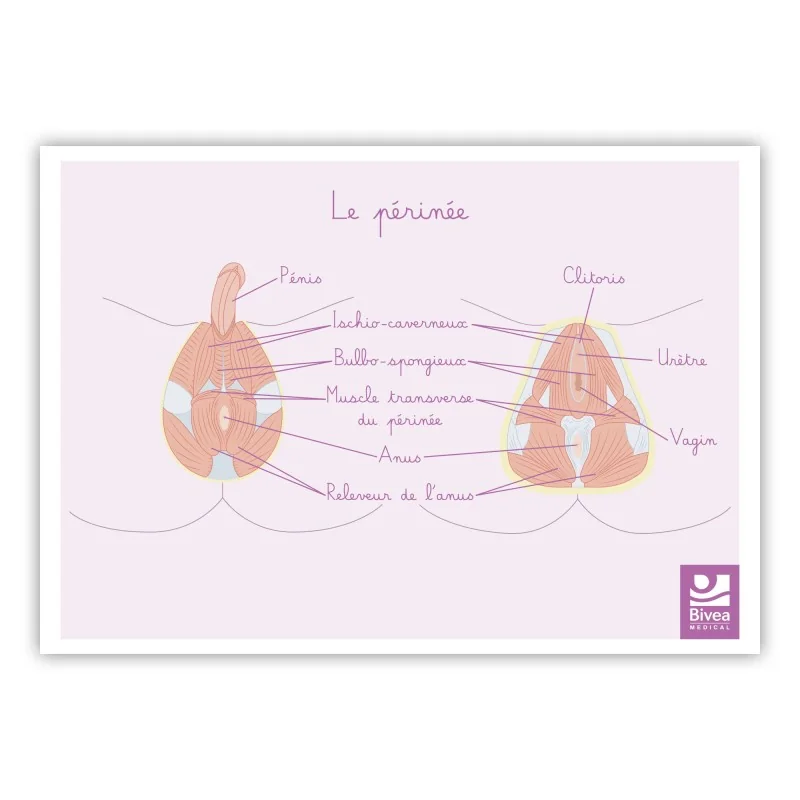 shop.bivea-medical-1709087