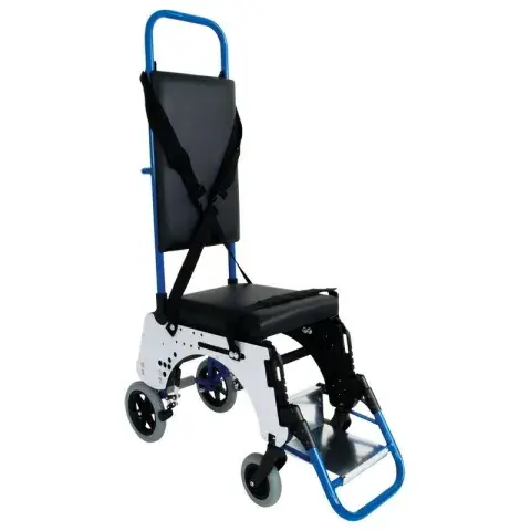 toomed-1725149