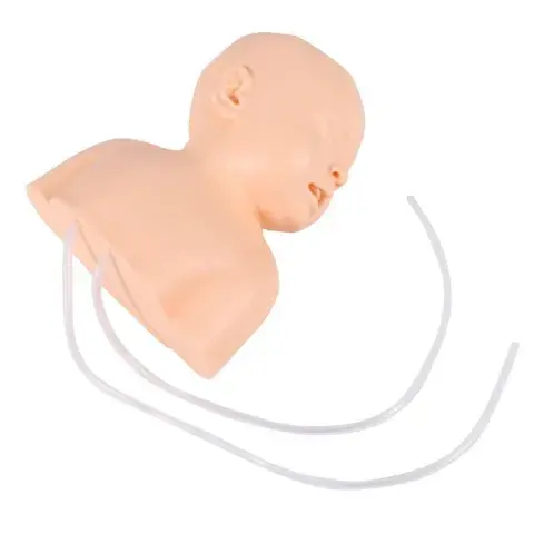 toomed-1728251