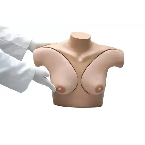 toomed-1728484